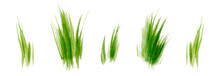 Set Of Watercolor Green Lush Grass For Spring Or Summer Decoration. Tufts Of Fresh Plants In Close Up Isolated On White. Collection Of Ecology Outdoor Blade Elements Growing In Garden Or Meadows