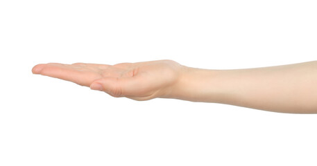 Woman hand shows virtual holding something, on white background