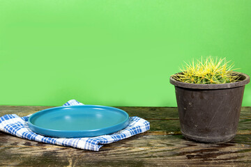 Sticker - empty ceramic blue plate with  Genus Echinocactus Cactus a potted plant on wood table