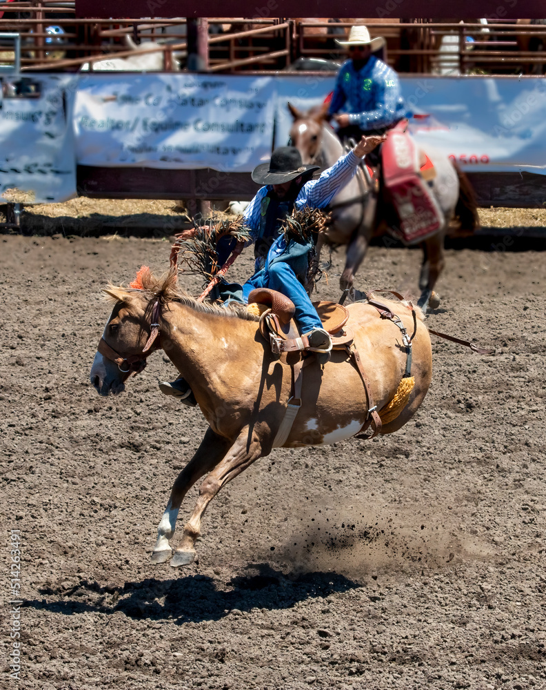 A rodeo cowboy is riding a bucking bronco. His hat is down over his ...