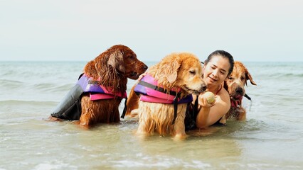 Wall Mural - Happy woman with dog golden group playing water sea wave enjoy freedom on the beach, happiness outdoor people lifestyle.