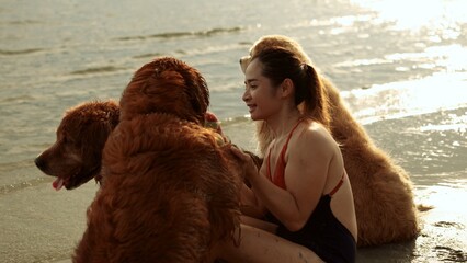 Wall Mural - Happy woman with dog golden group sitting relax and resting at sunset enjoy freedom on the beach, Female with pets happiness outdoor people lifestyle.