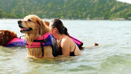 Wall Mural - Happy woman with dog golden group playing water sea wave enjoy freedom on the beach, happiness outdoor people lifestyle.