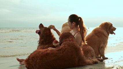 Wall Mural - Happy woman with dog golden group sitting relax and resting at sunset enjoy freedom on the beach, Female with pets happiness outdoor people lifestyle.