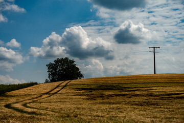 Wall Mural - Getreideanbau im Sommer