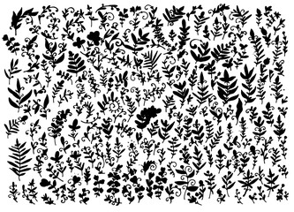 Wall Mural - a set of silhouettes of twigs with astrakhan leaves. a set of twigs and blades of grass with leaves dots curls isolated black silhouettes on white for a design template