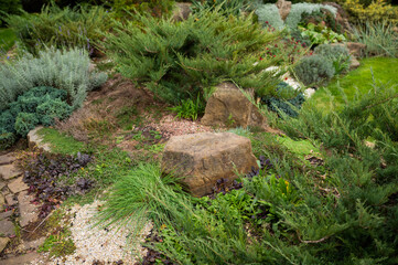 Wall Mural - Flowerbed with evergreens, flowers and stones in the landscape design