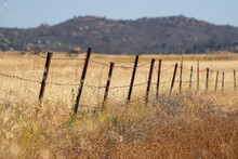 Dry Grasslands With Barbed Wire Fence During Summer