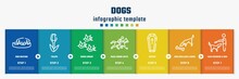 Dogs Concept Infographic Design Template. Included Dog Resting, Tulips, Birds Group, Race Horse With Jockey, Coffin, Dog Smelling A Bone, Man Combing A Dog Icons And 7 Option Or Steps.