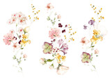 Fototapeta  - watercolor arrangements with garden flowers. bouquets with pink, yellow wildflowers, leaves, branches. Botanic illustration isolated on white background.
