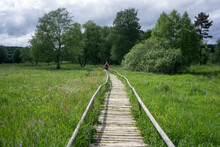 Wooden Path Over High Moor In Germany With A Man Walking On It