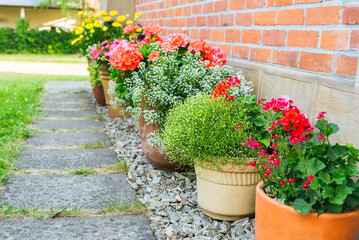 Row of potted flower in garden outside red brick house