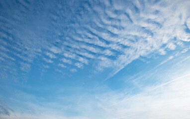 Wall Mural - blue sky with rippled fleecy clouds