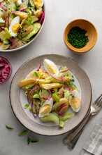 Healthy Food. Delicios Potato Salad With Eggs, Cucumbers, Cabbage And Red Pickled Onions. Delicious Healthy Summer Salad.