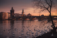 Prague Romantic Scene