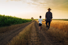 Father And Son Holding Hands Walking On Country Road On Wheat Field