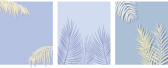 Wall Mural - summer exotic backgrounds with palm branches