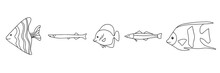 Different Types Of Fish Outline Icons In Set Collection For Design. Marine And Aquarium Fish Bitmap Symbol Stock Web Illustration.
