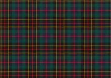 Green, Blue, Red And Yellow Tartan Checkered Real Fabric Seamless Pattern