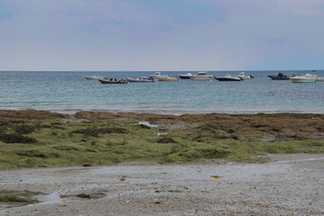 Canvas Print - Bords de mer en Bretagne