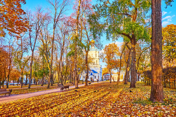 Canvas Print - The golden foliage on the ground of Chernihiv Citadel Park, Chernihiv, Ukraine