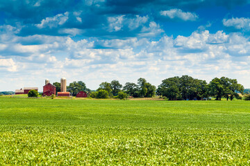 Wall Mural - American Countryside in Summer Time