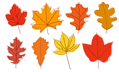 Wall Mural - A set of autumn leaves drawn with a continuous line. Autumn leaf in one line style icon vector illustration design