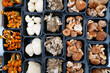 Containers of mixed gourmet mushrooms at a farmers market