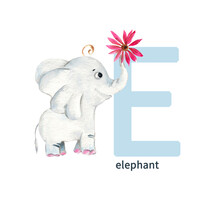 Letter E, Elephant, Cute Kids Colorful Animals ABC Alphabet. Watercolor Illustration Isolated On White Background.