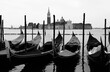 Moored Gondolas the typical boat of Island of Venice in Italy
