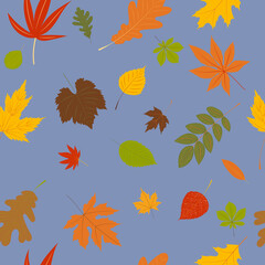 Wall Mural - seamless pattern leaves, on a blue background, vector