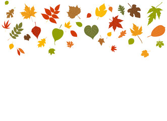 Wall Mural - leaves autumn background in flat design, isolated vector