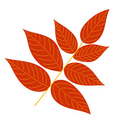 Canvas Print - red leaf in flat design, isolated vector