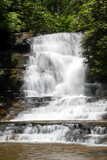 Fototapeta Krajobraz - waterfall in the forest