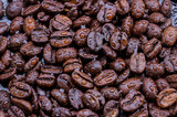 Kawa ziarnista. Palarnia kawy. Barista. Kawa i krople wody.