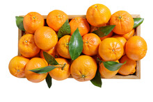 Fresh Mandarin Oranges Fruit Or Tangerines In A Wooden Box Isolated On White Background, Top View