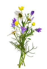Wall Mural - wild meadow flowers in a summer bouquet isolated on white