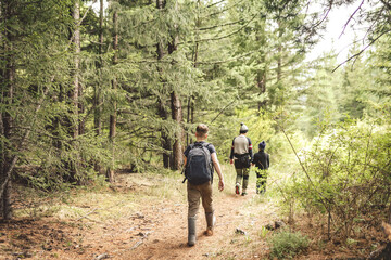 Poster - Family hiking in the woods 