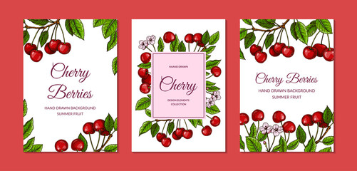 Wall Mural - Set of colorful vertical cherry designs. Vector illustration in colored sketch style