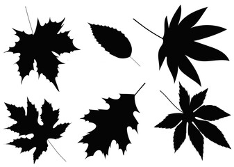 Wall Mural - leaves silhouette set on white background, isolated, vector