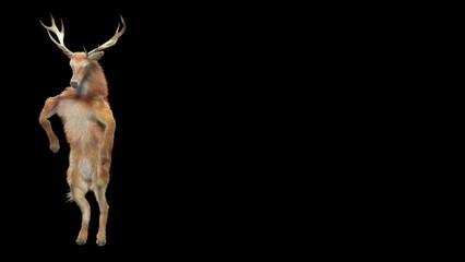 Wall Mural - deer dancing cg fur 3d rendering animal realistic cgi vfx animation loop composition 3d mapping cart