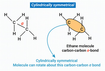 Wall Mural - Conformational Isomerism: Cylindrically symmetrical or conformers