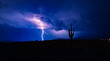 Lightning in the Tonto National Forest