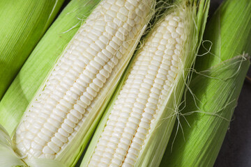 close up of sweet white corn cobs background