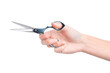 A woman's hand holds scissors for cutting hair. The hairdresser