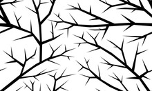 Seamless Pattern Branch Isolated On A White Background.Tree Without Leaves And Branches Illustration.