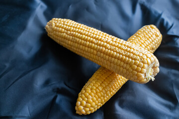 Wall Mural - fresh corn on the cob on a dark background close up