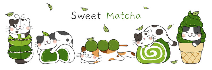 Draw banner sweet cats Matcha dessert concept