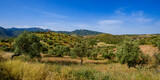 Fototapeta Tęcza - Andaluzyjskie wzgórza w okolicach Kordoby