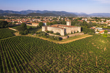 Wall Mural - Aerial view of the medieval castle among the vineyards, Passirano, Franciacorta, Italy, 